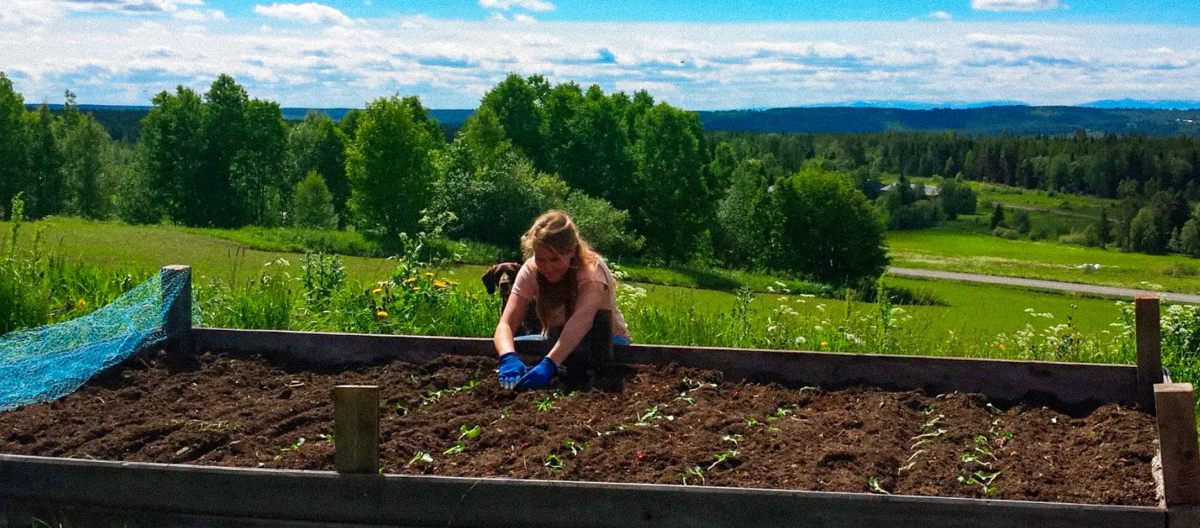 My Workaway experience in Sweden: honest review, tips & what to expect