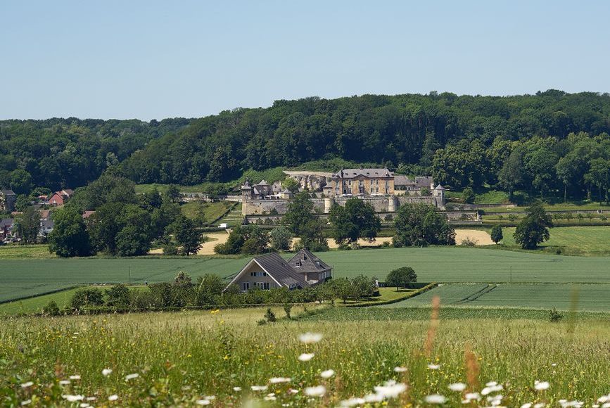 scenic view of meadows in maastricht netherlands